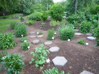 Botanischer Garten Akurery