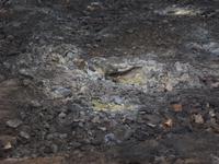 bis jetzt ruht er noch...