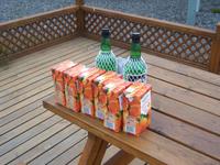 Im Anschluss ließen wir uns isländischen Brennivin - den 