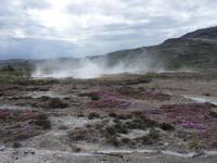 Dampf aufsteigen sieht man oft auf Island