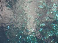 Wenn man kein Kleingeld zum Hineinwerfen hat, tut es auch die EC-Karte.