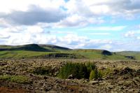 Lavafeld mit Moos bedeckt