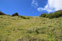 Auch im Norden blüht es bunt
