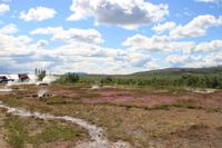 Hochtemperaturgebiet Haukadalur