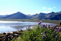 Fotostopp in Borgarnes