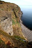 Steilküste als zu Hause für Papageientaucher