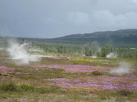 beim Geysir Strokkur