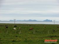 Blick zu den WestmÃ€nner-Inseln