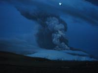 Expo-Film in der Harfe (6)