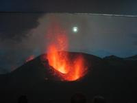 Expo-Film in der Harfe (8)