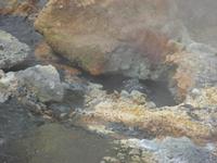 Halbinsel Reykjanes (11)