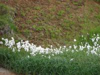 Halbinsel Reykjanes (12)