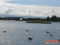 TjÃ¶rnin in Reykjavik (1)