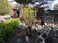 Im Vorgarten von Petras Steinhaus