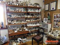 Wer hätte nicht gern so ein Wohnzimmer