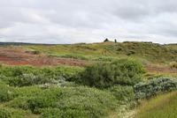 Impressionen einer einzigartigen Landschaft