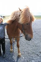 auf dem Pferdehof bei Anna