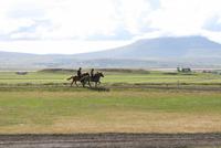 wir bekommen einiges zu sehen