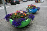 Impressionen aus Akureyri