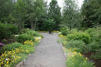 im botanischen Garten in Akureyri
