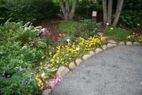 im botanischen Garten in Akureyri