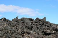 Wanderung zum Vulkan Leirhnjúkur