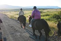 abendlicher Reitausflug mit Islandpferden