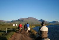 abendlicher Reitausflug mit Islandpferden