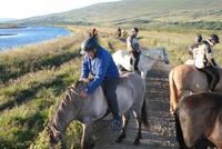 abendlicher Reitausflug mit Islandpferden