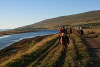 abendlicher Reitausflug mit Islandpferden