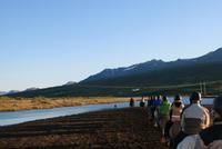 abendlicher Reitausflug mit Islandpferden