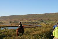 abendlicher Reitausflug mit Islandpferden