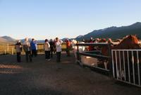 abendlicher Reitausflug mit Islandpferden