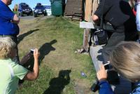 kleine Füchse am höchstgelegenen Bauernhof in Möðrudalur