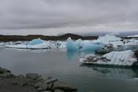 in der Gletscherlagune Jökulsárlón