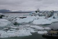 in der Gletscherlagune Jökulsárlón