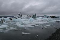 in der Gletscherlagune Jökulsárlón