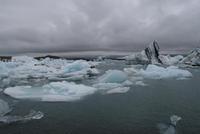 in der Gletscherlagune Jökulsárlón