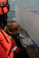 in der Gletscherlagune Jökulsárlón