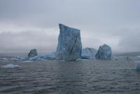 in der Gletscherlagune Jökulsárlón