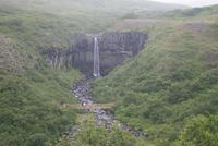 der Svartifoss