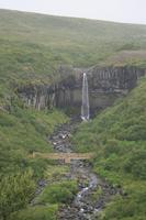 der Svartifoss