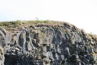 Landzunge Dyrhólaey