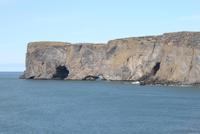 Küste der Papageientaucher auf der Landzunge Dyrhólaey