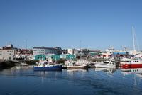 im Hafen von Reykjavik