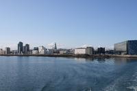 im Hafen von Reykjavik