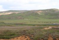 auf der Halbinsel Reykjanes