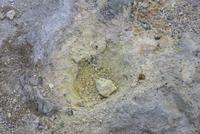 auf der Halbinsel Reykjanes