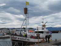 Husavik Hafen