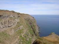 Auf der Suche nach Papageientauchern